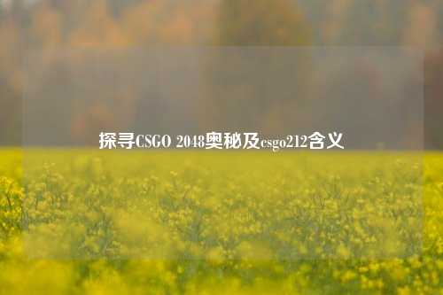 探寻CSGO 2048奥秘及csgo212含义