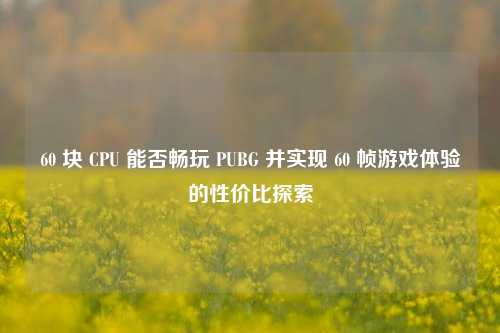 60 块 CPU 能否畅玩 PUBG 并实现 60 帧游戏体验的性价比探索