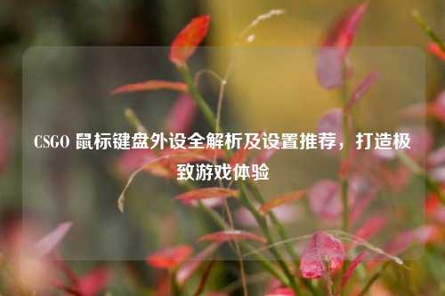 CSGO 鼠标键盘外设全解析及设置推荐，打造极致游戏体验