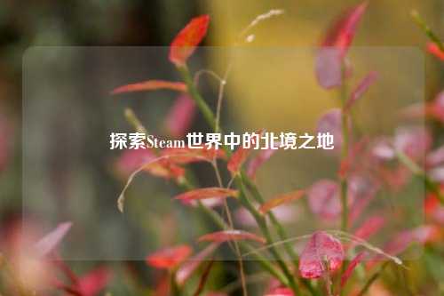 探索Steam世界中的北境之地