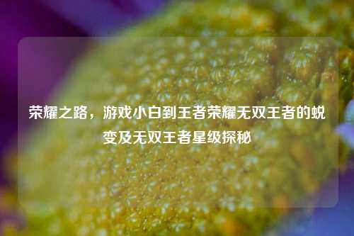 荣耀之路，游戏小白到王者荣耀无双王者的蜕变及无双王者星级探秘
