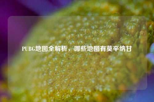 PUBG地图全解析，哪些地图有莫辛纳甘