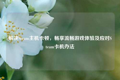 解决Steam主机卡顿，畅享流畅游戏体验及应对Steam卡机办法