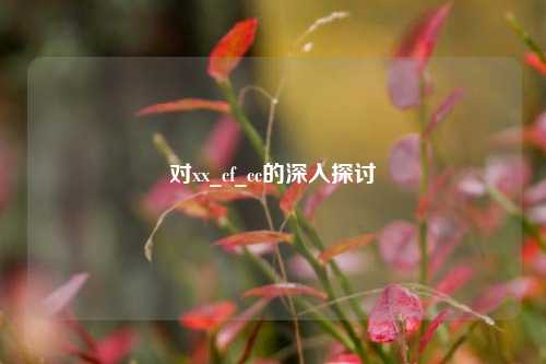 对xx_cf_cc的深入探讨