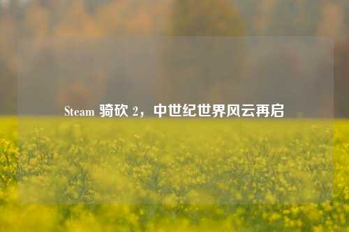 Steam 骑砍 2，中世纪世界风云再启