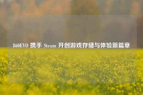 860EVO 携手 Steam 开创游戏存储与体验新篇章