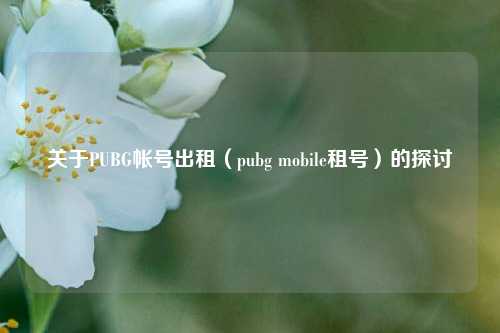 关于PUBG帐号出租（pubg mobile租号）的探讨