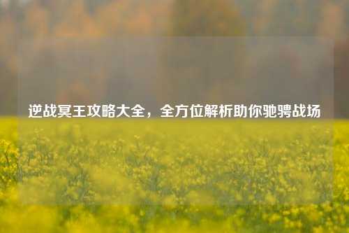 逆战冥王攻略大全，全方位解析助你驰骋战场