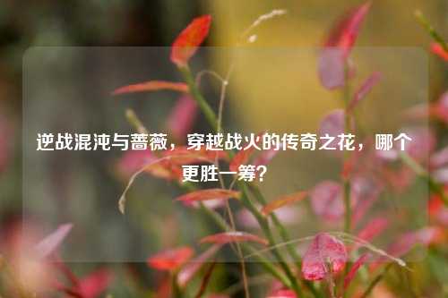 逆战混沌与蔷薇，穿越战火的传奇之花，哪个更胜一筹？
