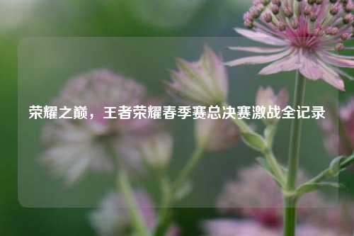 荣耀之巅，王者荣耀春季赛总决赛激战全记录