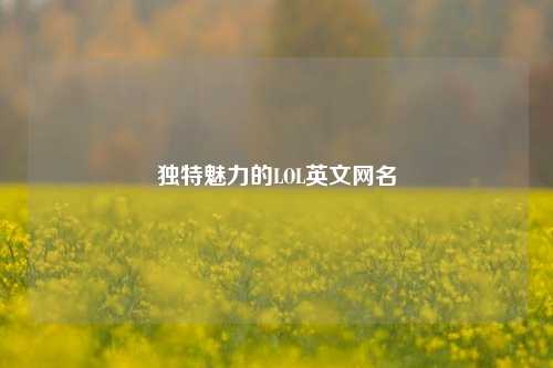 独特魅力的LOL英文网名