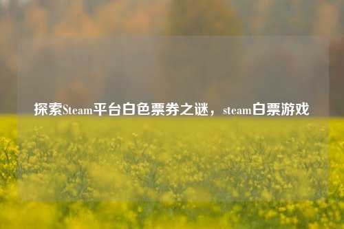 探索Steam平台白色票券之谜，steam白票游戏