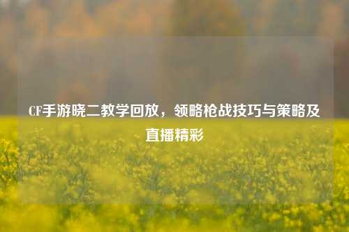 CF手游晓二教学回放，领略枪战技巧与策略及直播精彩