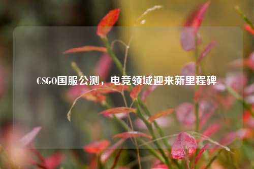 CSGO国服公测，电竞领域迎来新里程碑