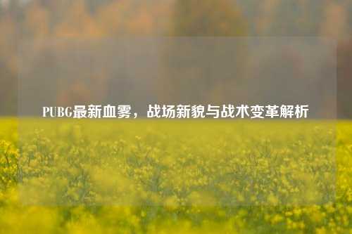 PUBG最新血雾，战场新貌与战术变革解析