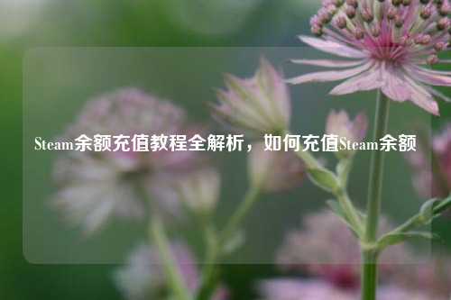 Steam余额充值教程全解析，如何充值Steam余额