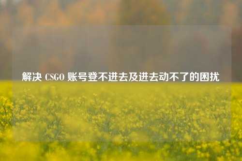 解决 CSGO 账号登不进去及进去动不了的困扰