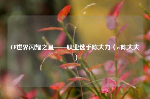 CF世界闪耀之星——职业选手陈大力（cf陈大大）