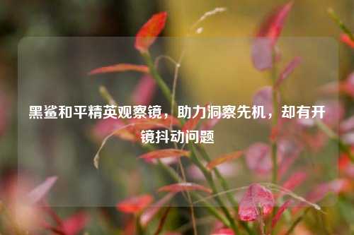 黑鲨和平精英观察镜，助力洞察先机，却有开镜抖动问题
