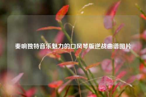 奏响独特音乐魅力的口风琴版逆战曲谱图片