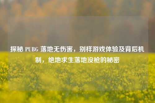 探秘 PUBG 落地无伤害，别样游戏体验及背后机制，绝地求生落地没枪的秘密