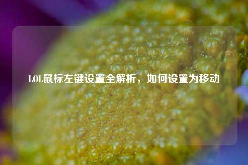 LOL鼠标左键设置全解析,如何设置为移动