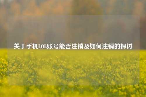 关于手机LOL账号能否注销及如何注销的探讨