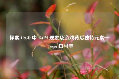 探索 CSGO 中 BAIM 现象及游戏背后独特元素——csgo 白马寺
