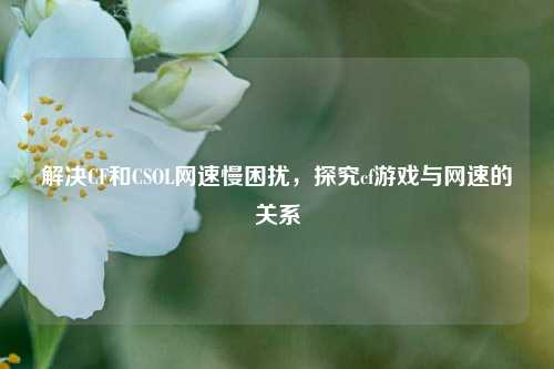 解决CF和CSOL网速慢困扰，探究cf游戏与网速的关系