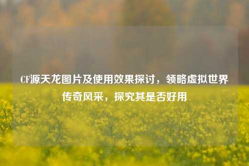 CF源天龙图片及使用效果探讨，领略虚拟世界传奇风采，探究其是否好用