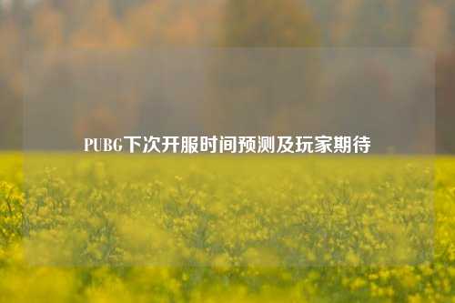 PUBG下次开服时间预测及玩家期待
