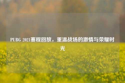 PUBG 2021赛程回放，重温战场的激情与荣耀时光