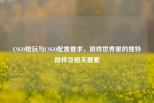 CSGO陪玩与CSGO配置要求，游戏世界里的独特陪伴及相关要素