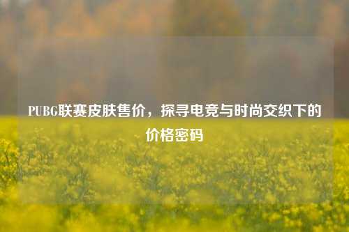 PUBG联赛皮肤售价，探寻电竞与时尚交织下的价格密码
