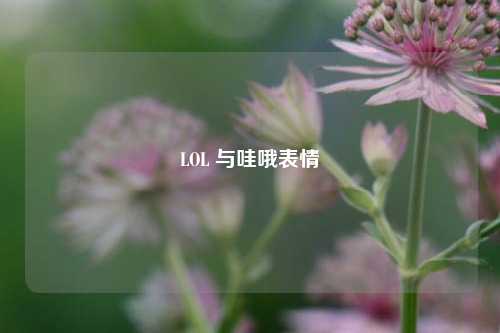 LOL 与哇哦表情