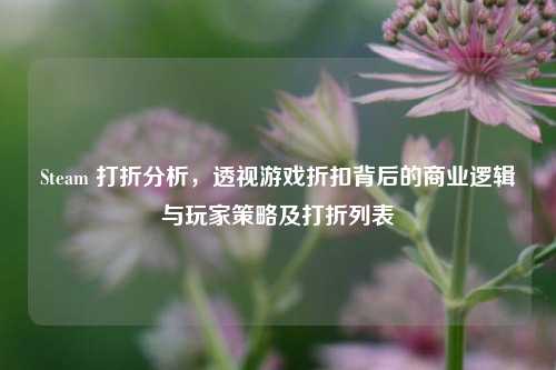 Steam 打折分析,透视游戏折扣背后的商业逻辑与玩家策略及打折列表
