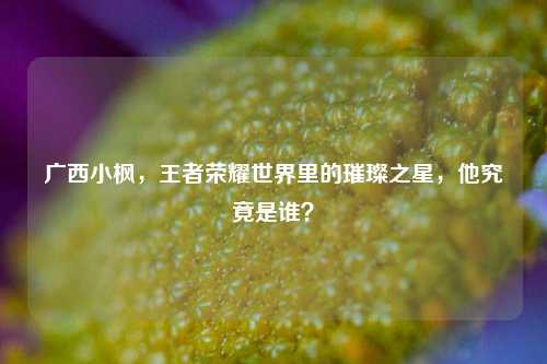广西小枫，王者荣耀世界里的璀璨之星，他究竟是谁？