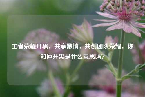 王者荣耀开黑，共享激情，共创团队荣耀，你知道开黑是什么意思吗？
