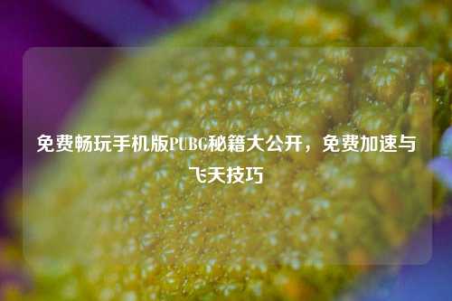 免费畅玩手机版PUBG秘籍大公开，免费加速与飞天技巧