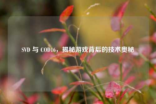 SVD 与 COD16，揭秘游戏背后的技术奥秘