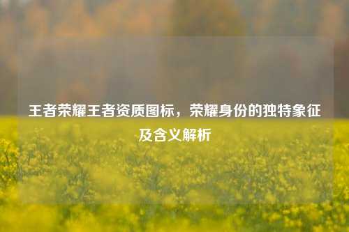 王者荣耀王者资质图标,荣耀身份的独特象征及含义解析