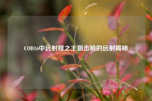 COD16中远射程之王狙击枪的远射揭秘