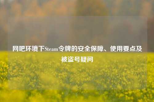 网吧环境下Steam令牌的安全保障、使用要点及被盗号疑问