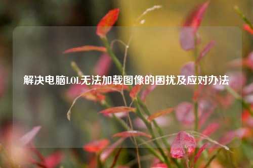 解决电脑LOL无法加载图像的困扰及应对办法