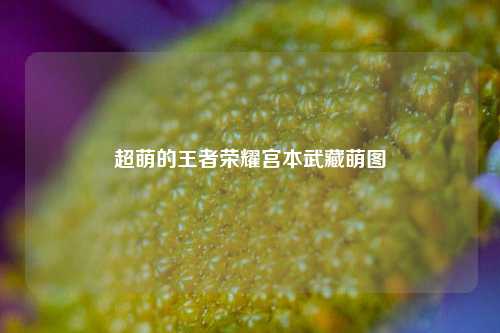 超萌的王者荣耀宫本武藏萌图