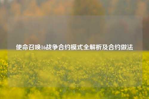 使命召唤16战争合约模式全解析及合约做法