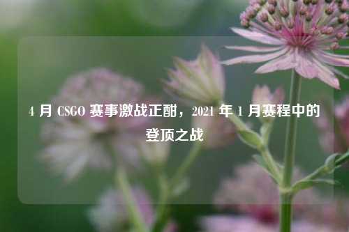 4 月 CSGO 赛事激战正酣，2021 年 1 月赛程中的登顶之战