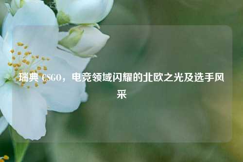 瑞典 CSGO，电竞领域闪耀的北欧之光及选手风采