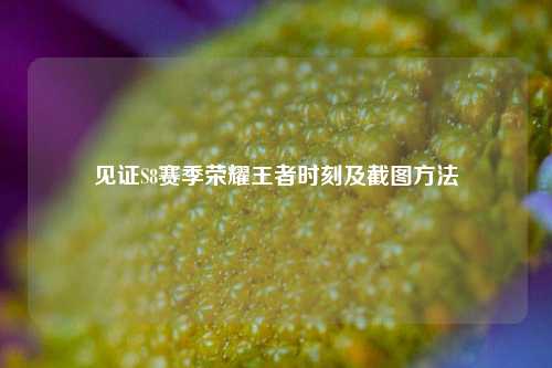 见证S8赛季荣耀王者时刻及截图方法