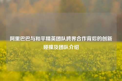 阿里巴巴与和平精英团队跨界合作背后的创新碰撞及团队介绍